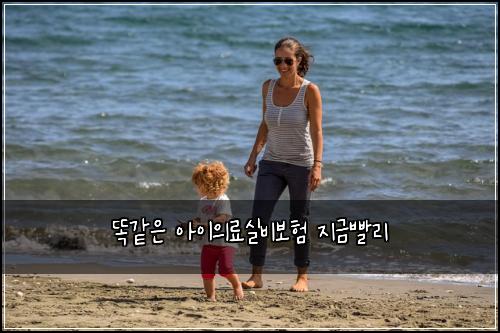 똑같은 아이의료실비보험 지금빨리 