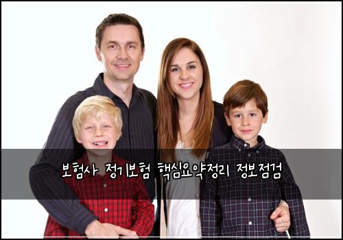 보험사 정기보험 핵심요약정리 정보점검