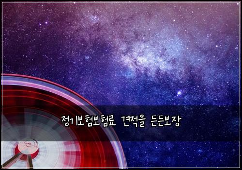 정기보험보험료 견적을 든든보장