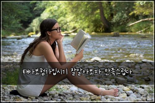 태아보험가입시기 잘알아보자 만족스럽다