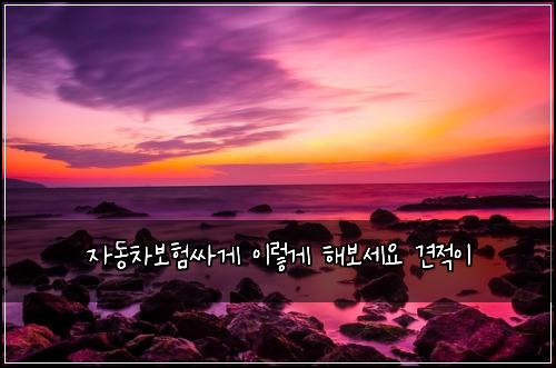 자동차보험싸게 이렇게 해보세요 견적이