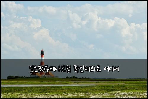 ์์ 30์ฃผํ์๋ณดํ ํ์ธํด๋ด์ ์ด๋์