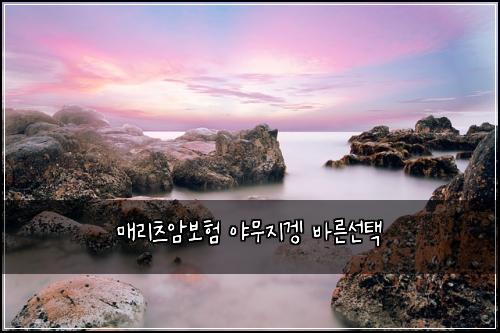 매리츠암보험 야무지겡  바른선택