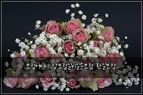 ๋ณดํ์ด๋จธ๋ ์๋ณดํ์ค๋น์ค์๋ณดํ ํ์ค๋ณด์ฅ