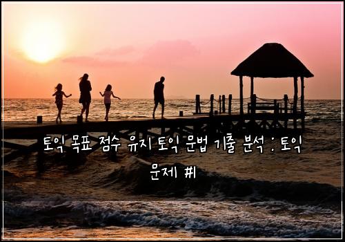 토익 목표 점수 유지 토익 문법 기출 분석 : 토익 문제 #1