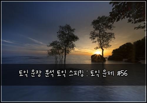 토익 문장 분석 토익 스피킹 : 토익 문제 #56