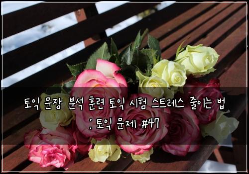 토익 문장 분석 훈련 토익 시험 스트레스 줄이는 법 : 토익 문제 #47