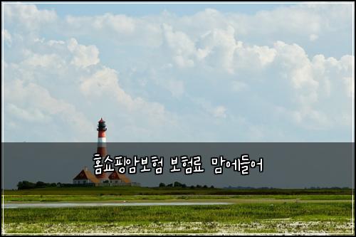 ํ์ผํ์๋ณดํ ๋ณดํ๋ฃ ๋ง์๋ค์ด