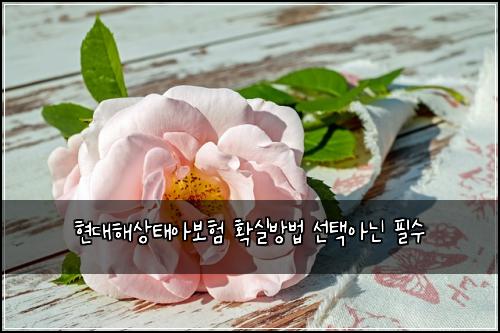 ํ๋ํด์ํ์๋ณดํ ํ์ค๋ฐฉ๋ฒ ์ ํ์๋ ํ์