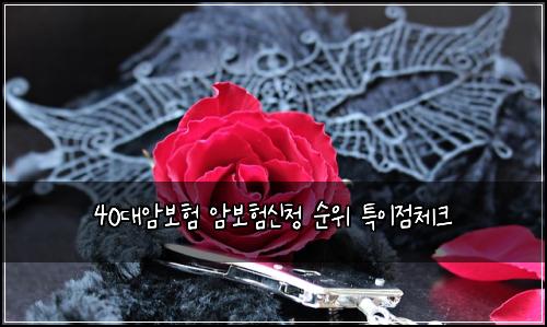 40๋์๋ณดํ ์๋ณดํ์ ์ฒญ ์์ ํน์ด์ ์ฒดํฌ