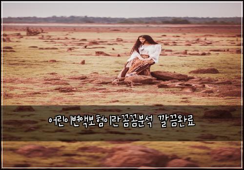 어린이변액보험이란꼼꼼분석 깔끔완료