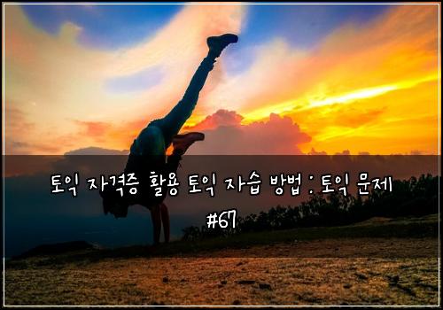 토익 자격증 활용 토익 자습 방법 : 토익 문제 #67