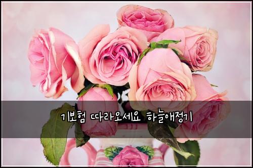 ๊ธฐ๋ณดํ ๋ฐ๋ผ์ค์ธ์ ํ๋์ ์ ๊ธฐ