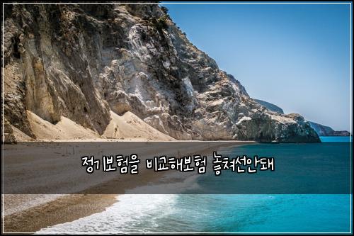 정기보험을 비교해보험 놓쳐선안돼