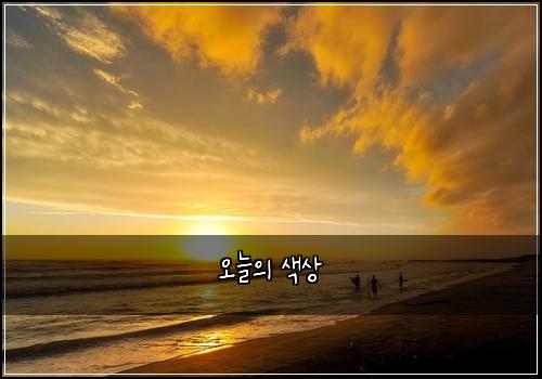 오늘의 색상