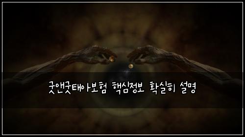 굿앤굿태아보험 핵심정보  확실히 설명