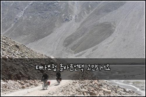 태아보험 올바른선택  고민되서요