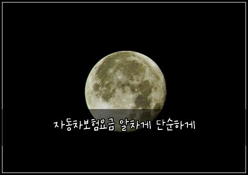 자동차보험요금 알차게 단순하게