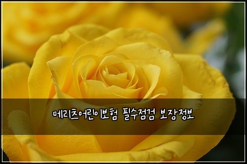 메리츠어린이보험 필수점검  보장정보