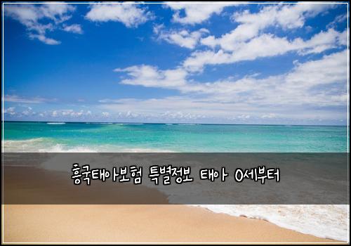 흥국태아보험 특별정보  태아 0세부터