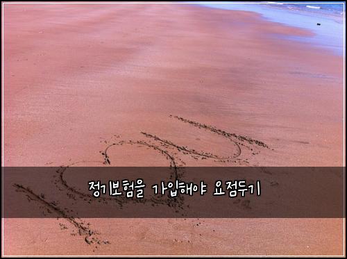 정기보험을 가입해야 요점두기