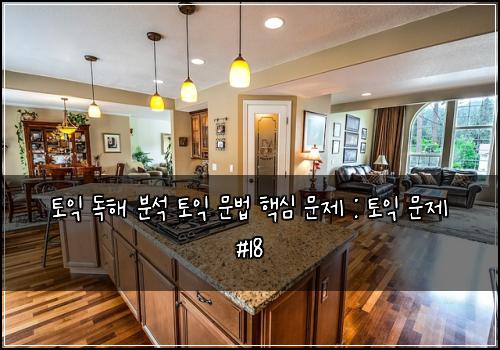 토익 독해 분석 토익 문법 핵심 문제 : 토익 문제 #18