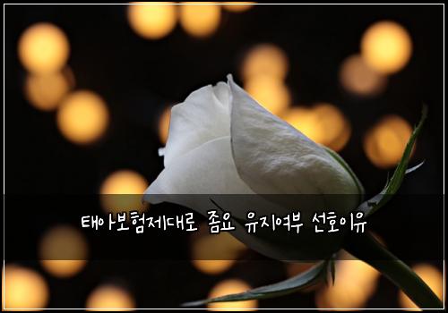 태아보험제대로 좀요 유지여부 선호이유