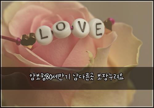 암보험80세만기 남다른곳 보장누려요
