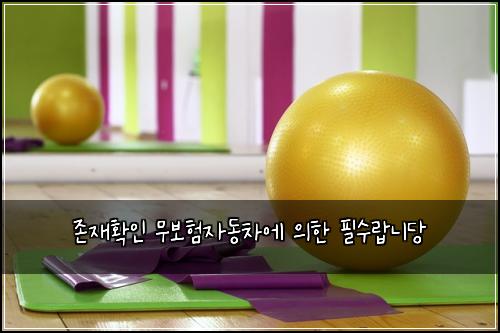 존재확인 무보험자동차에 의한 필수랍니당