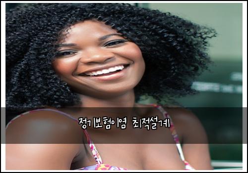 정기보험이염 최적설계