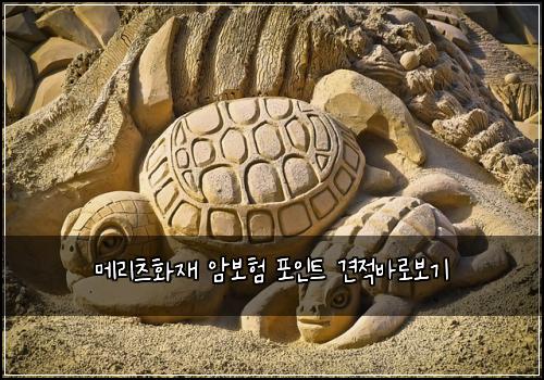 메리츠화재 암보험 포인트  견적바로보기