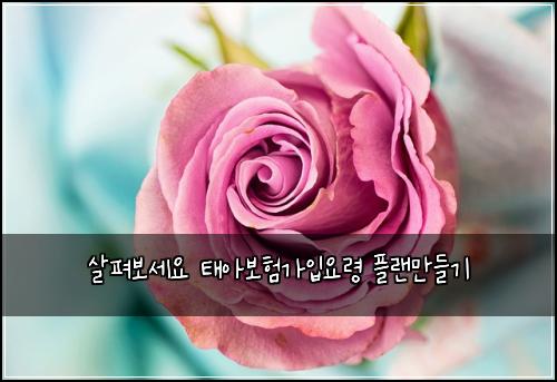์ดํด๋ณด์ธ์ ํ์๋ณดํ๊ฐ์
์๋ น ํ๋๋ง๋ค๊ธฐ