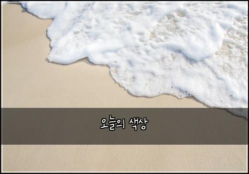 오늘의 색상