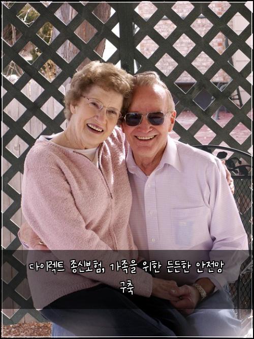 다이렉트 종신보험, 가족을 위한 든든한 안전망 구축