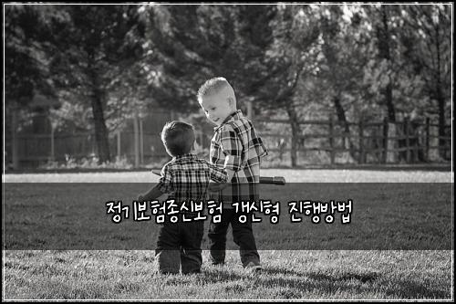 정기보험종신보험 갱신형 진행방법