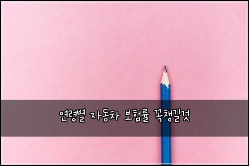 연령별 자동차 보험률 꼭챙길것