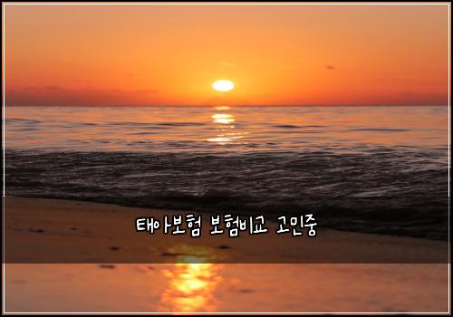 태아보험 보험비교  고민중