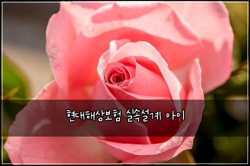 현대해상보험 실속설계  아이