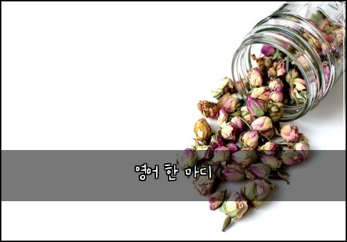 영어 한 마디