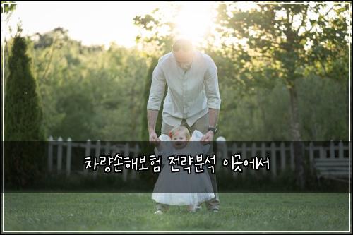 차량손해보험 전략분석  이곳에서