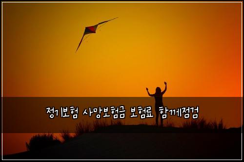 정기보험 사망보험금 보험료 함께점검