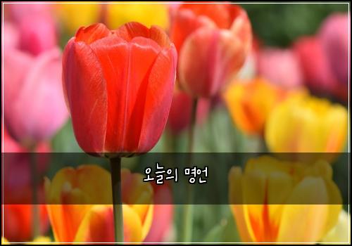 오늘의 명언
