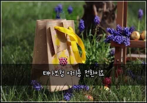 태아보험 여기용  전환이요