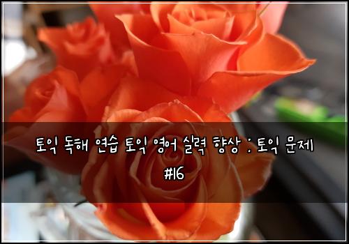 토익 독해 연습 토익 영어 실력 향상 : 토익 문제 #16