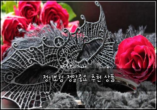 정기보험 정말중요  추천 상품
