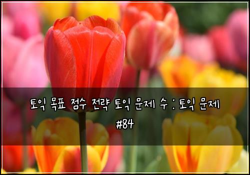 토익 목표 점수 전략 토익 문제 수 : 토익 문제 #84