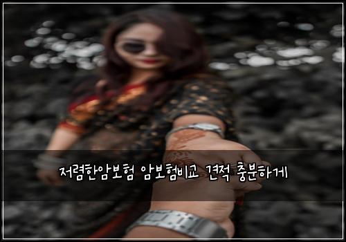 저렴한암보험 암보험비교 견적 충분하게