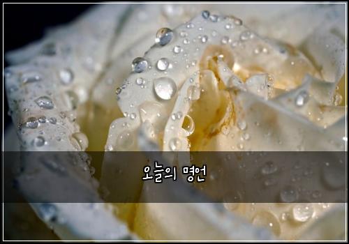 오늘의 명언