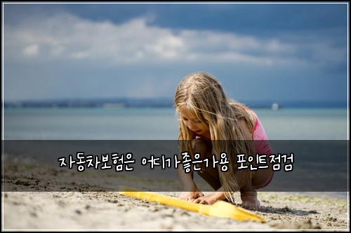 ์๋์ฐจ๋ณดํ์ ์ด๋๊ฐ์ข์๊ฐ์ฉ ํฌ์ธํธ์ ๊ฒ