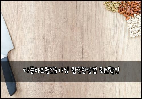 자동차보험신규가입 참신한방법 최신확인